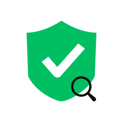 Basic Safety Check (Most Affordable)